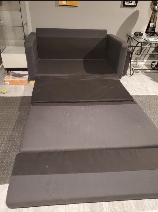 Couch w/ fold out bed