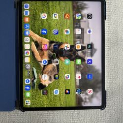 iPad Pro 12.9 WiFi+cellular With Apple Pencil 256g