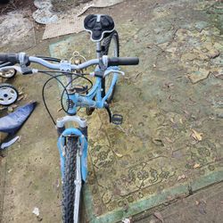 MOUNTAIN BIKE  TREK  220 24INCH 18SPEED  NEW TUBES AND TUBES WORK PERFECT EVERYTHING IS GOOD 