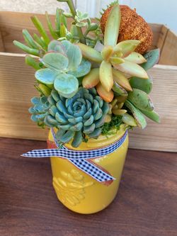 Autumn Succulent Arrangement in Yellow Mason Jar with Glitter Pumpkin Acce
