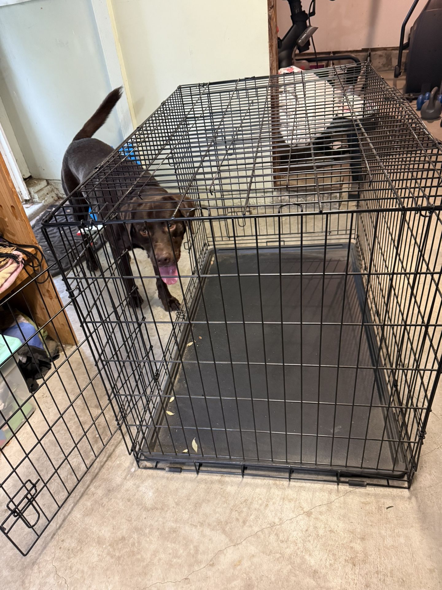 Large Dog Kennel