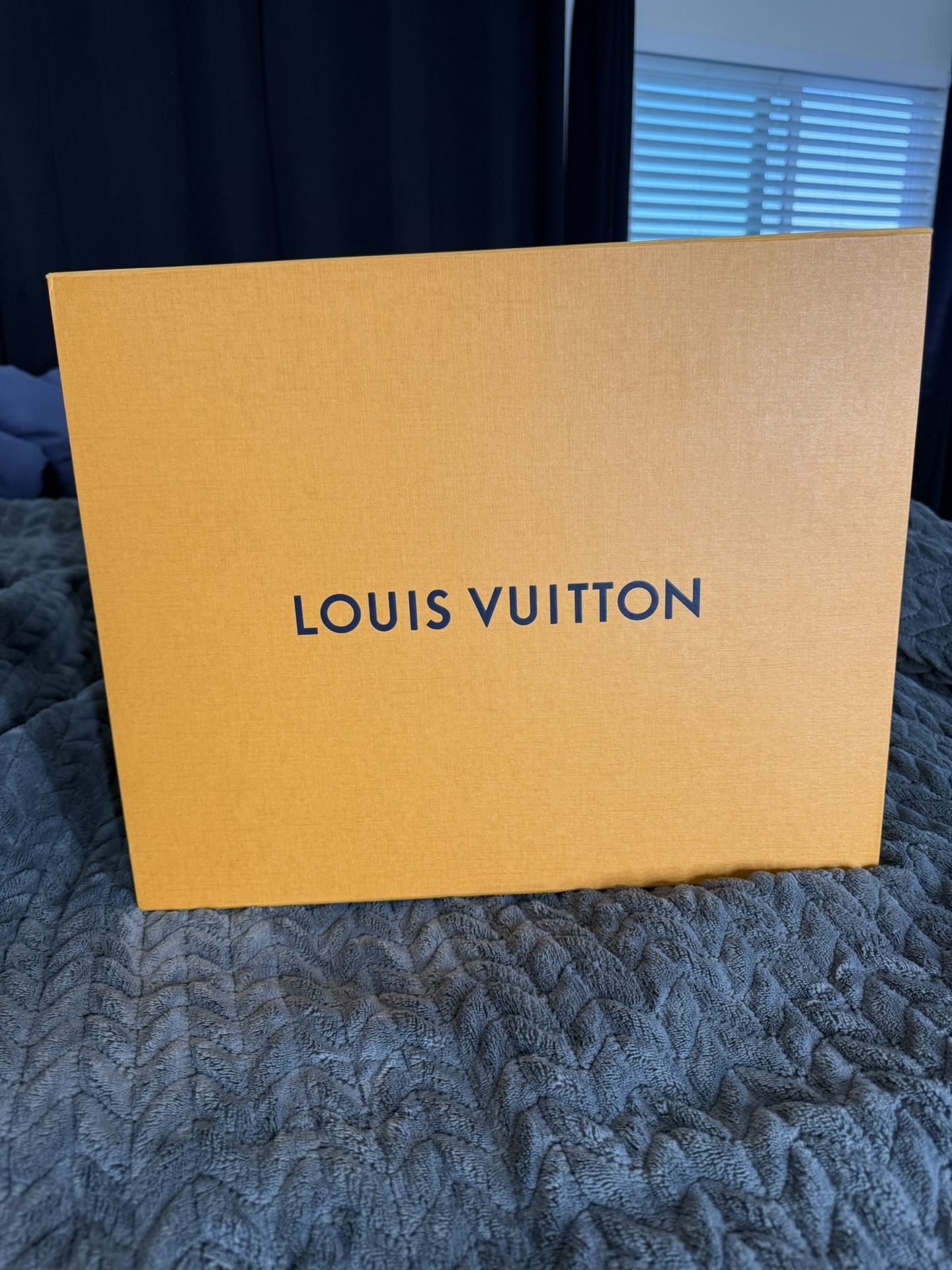 Louis Vuitton Box And Dust Bag