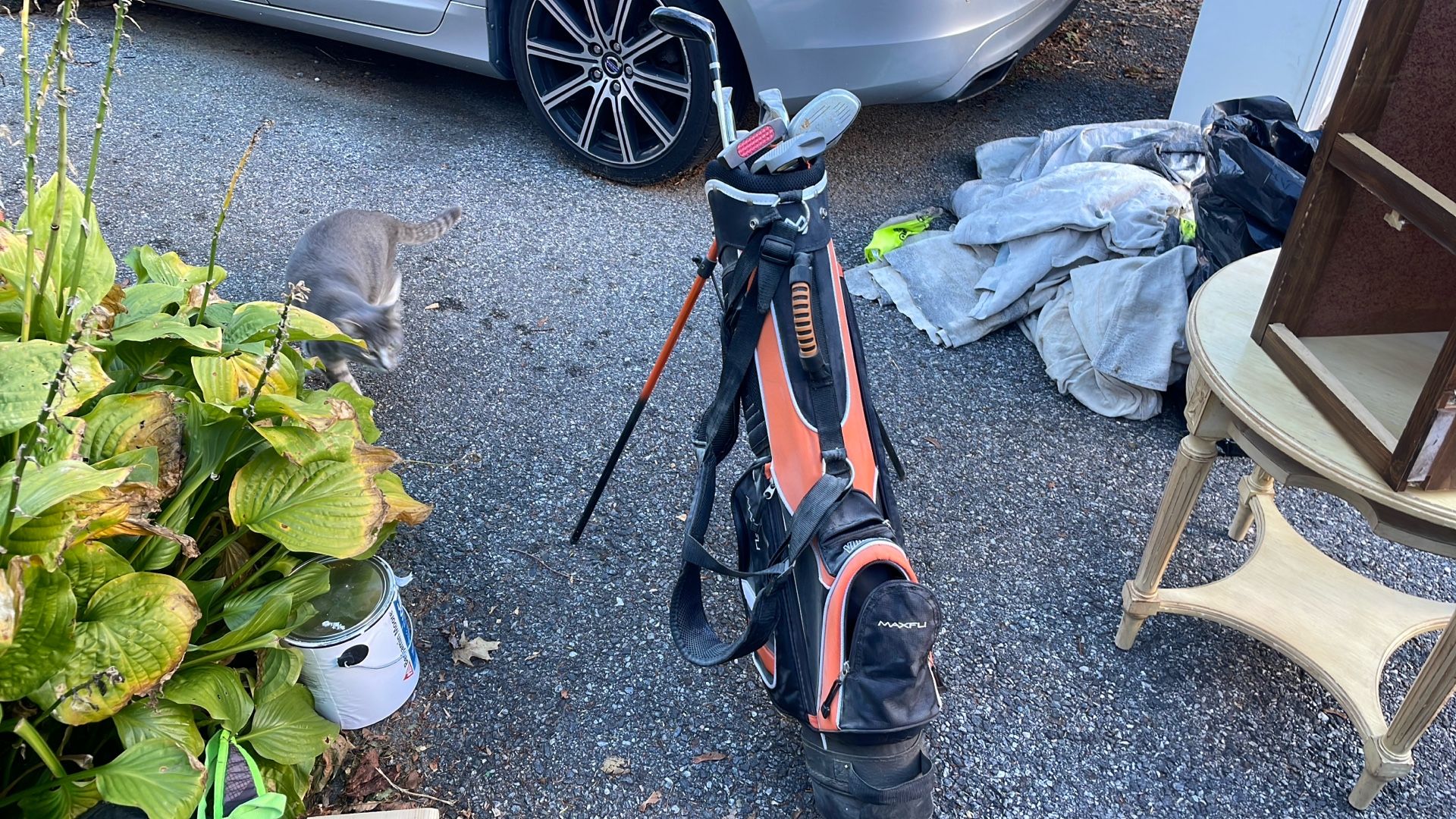 Golf Clubs