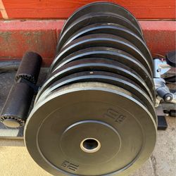 Bumper weight plates