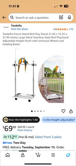 Parrot bird stand