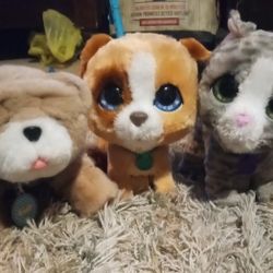 3 Animal Toys