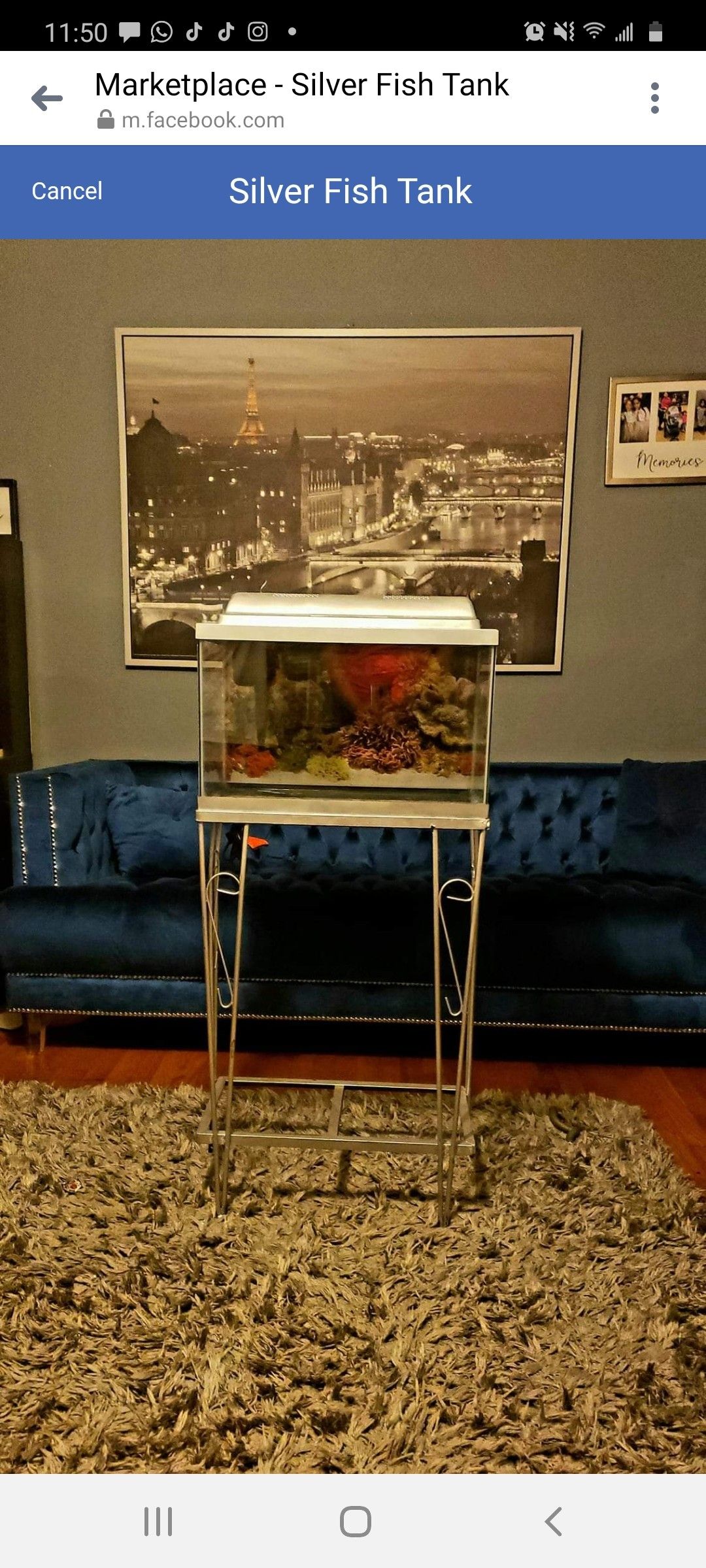 Silver Fish Tank and Metal Stand