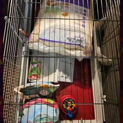 Bunny Starter Bundle