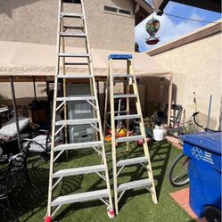 Wagner Ladders 
