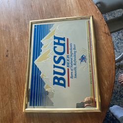 Busch Mirror