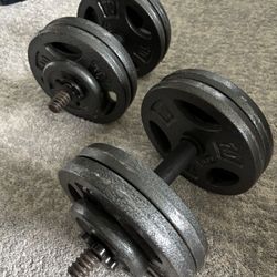 Adjustable Dumbbell Set – Up to 82 lbs – Bar + Plates + Collars