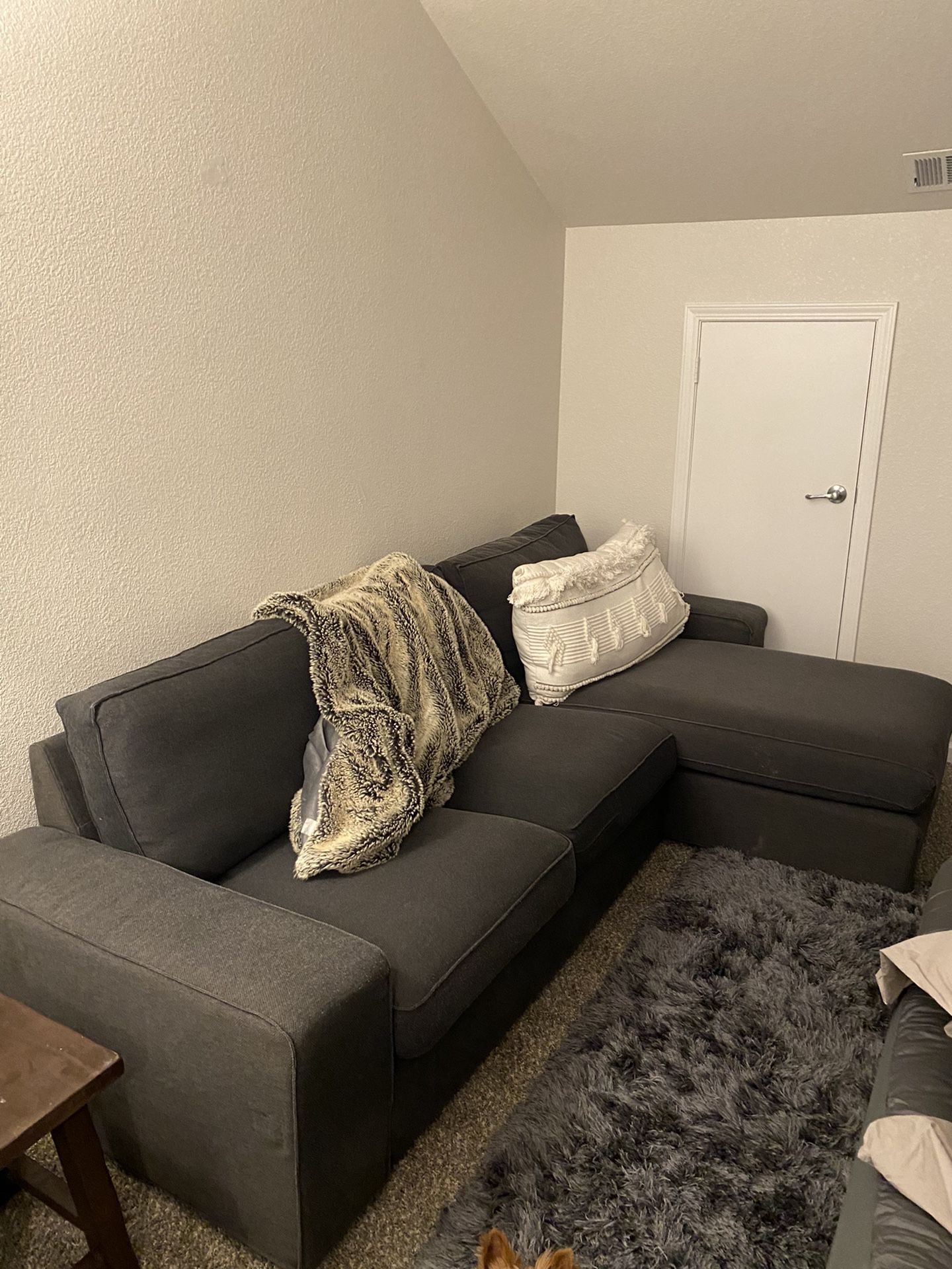 Gray Couch - Great For Apartment Living - Price is Firm