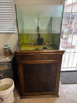 Aquarium/fish tank