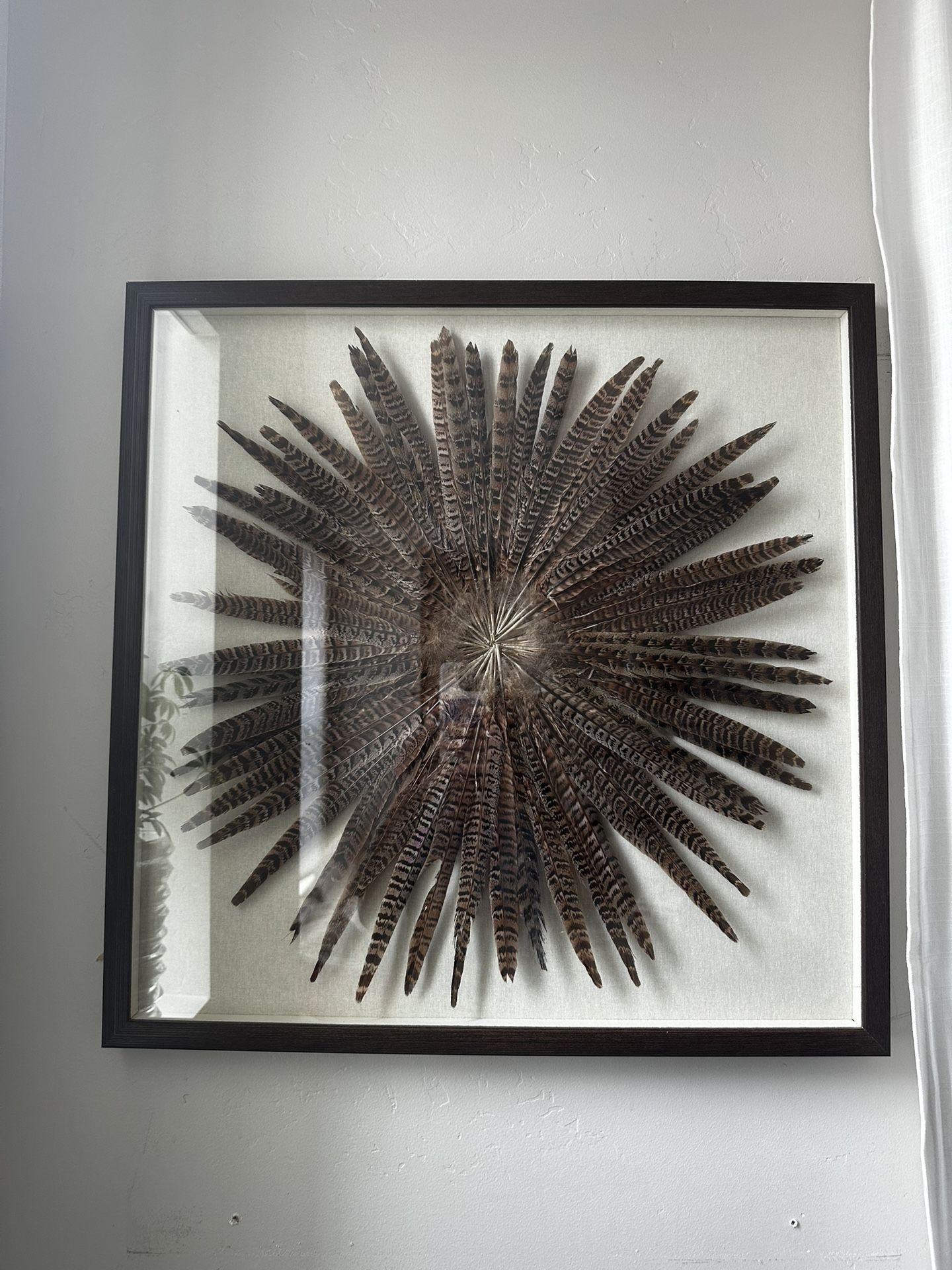 Large Feather Burst Framed Wall Art