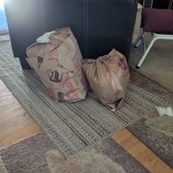 Grocery Bags 
