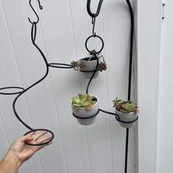 3 Ceramic Pots With Succulents Plants And Hangers 