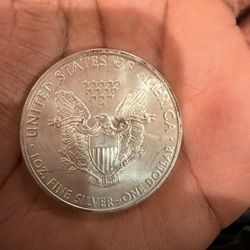 Pure Silver Coin 1oz. 