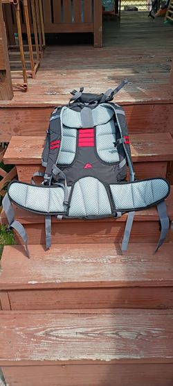 Ozark trail 45 L back back