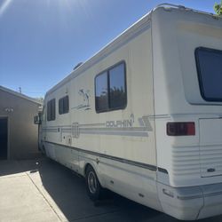 Dolphin motorhome