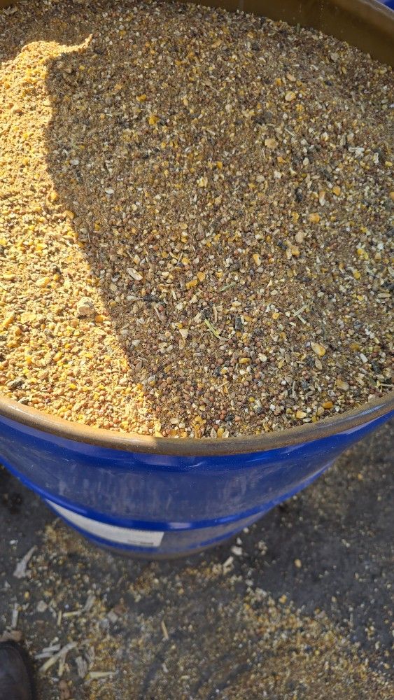 Chicken Feed, Comida Para Gallinas