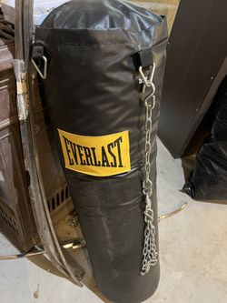 Everlast 100lb Punching Bag