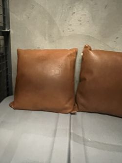 Pillow Covers (2)