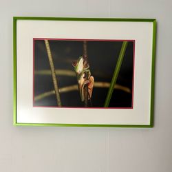 Original Framed Photography – 25x19” Custom Frame