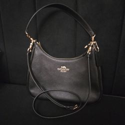 Coach teri hobo