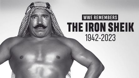 PSA 8 1982 Series B Iron Sheik Rookie Card WWE WWF HOF
