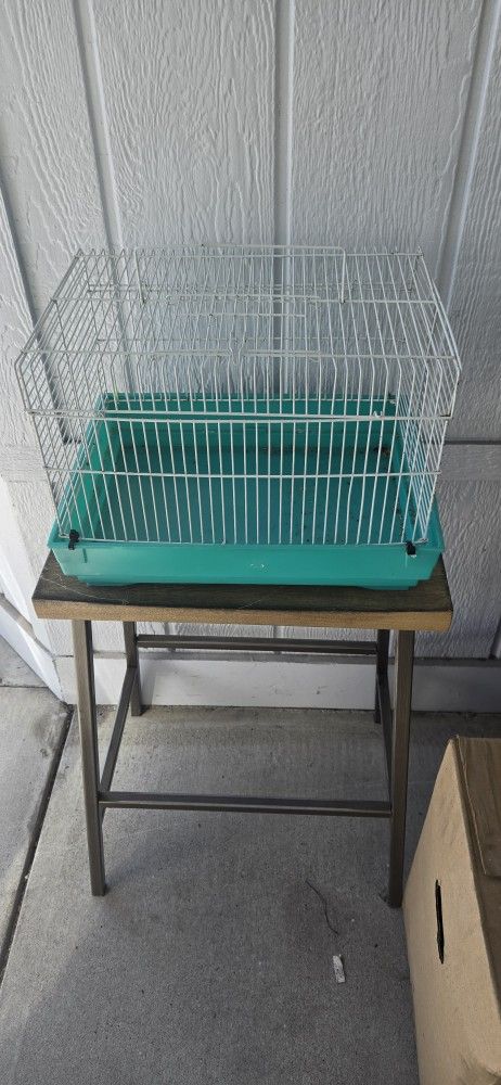 Bird Cage
