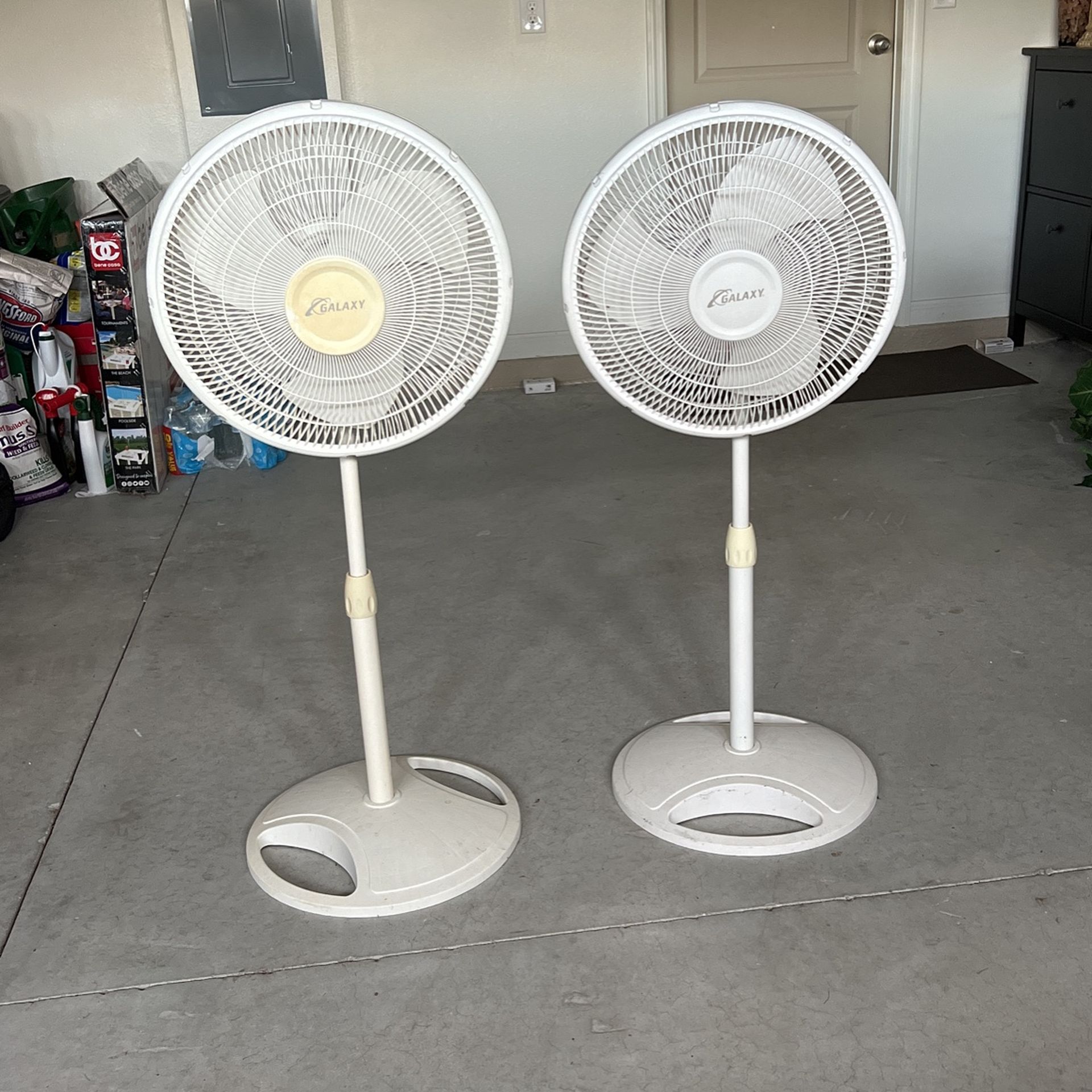 Fan