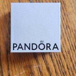 Pandora UP CHARM