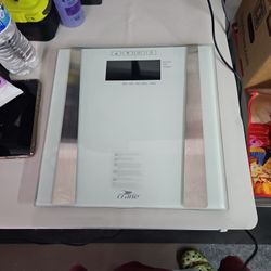 New Crane Scale