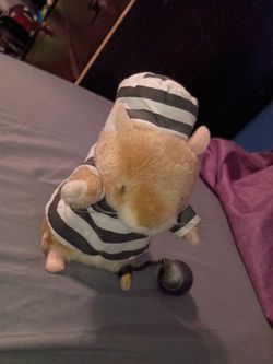 Elvis singing hamster