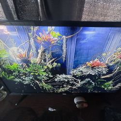 32” TCL ROKU TV 