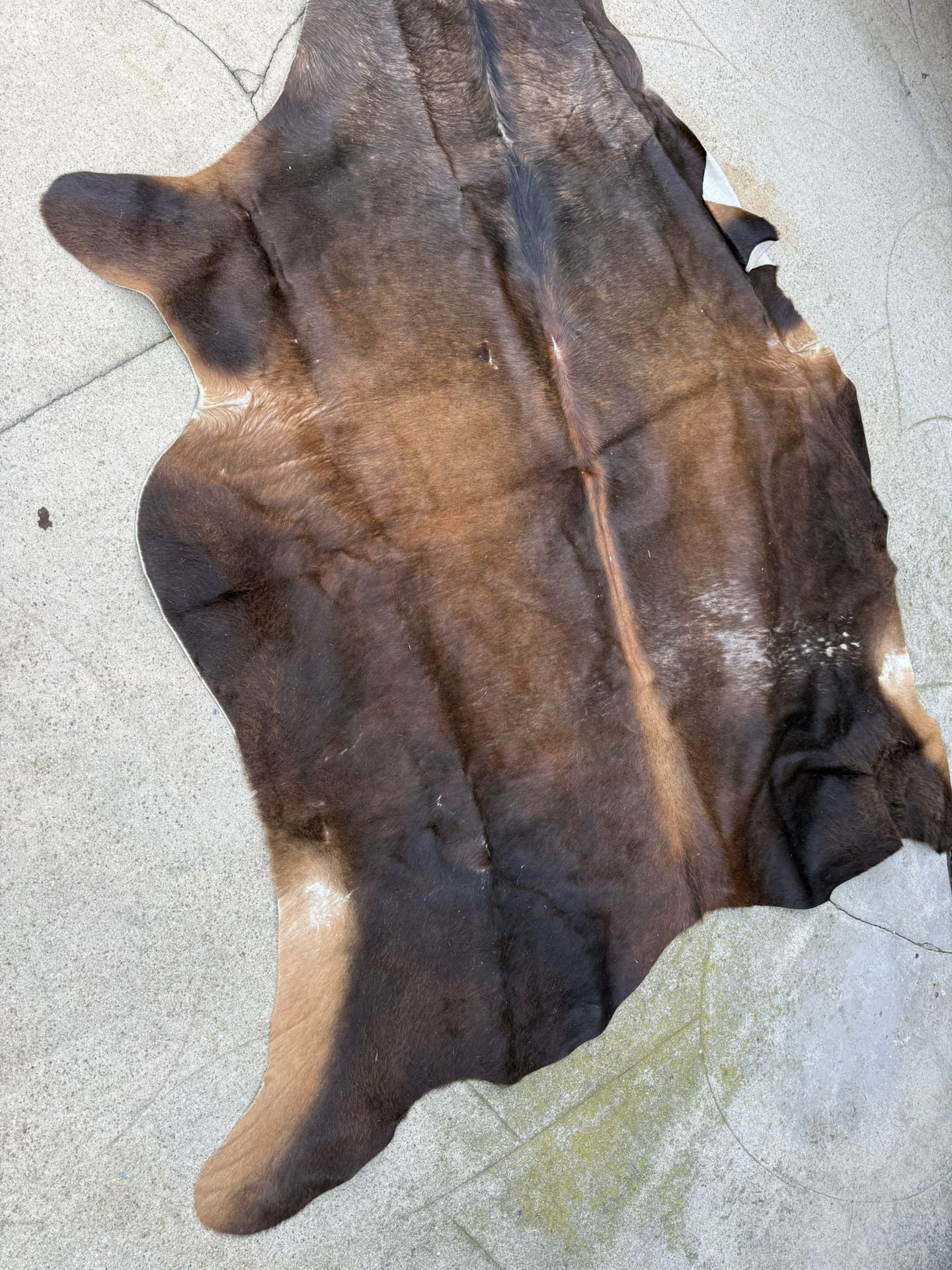Cowhide Rug