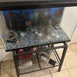 Fish Tank And Stand