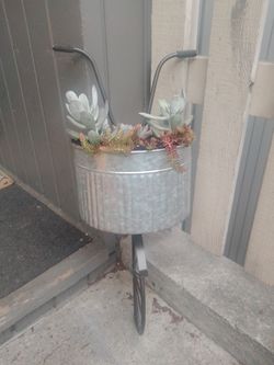 Succulent Plants