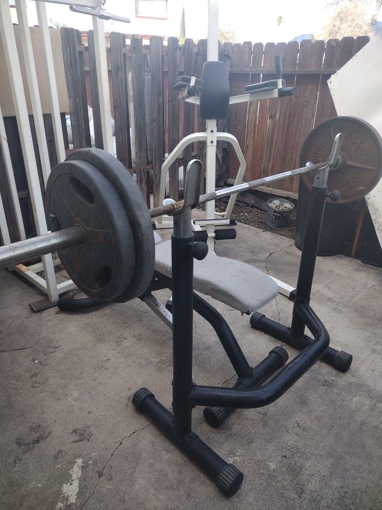 two piece bench press Olympic Weights 2-45s and 2-35 and 2-10pd weights,pull up bench press push up stomach pull up Dip bar