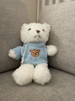 Teddy Bear With Hoodie Plushie - $3