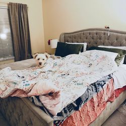 Beautiful Tufted Bed – Great Condition