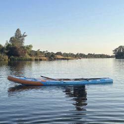 Paddle Board