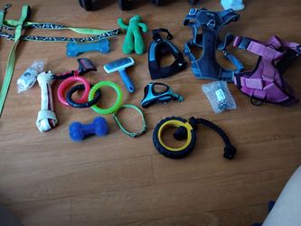 Large Collection of Dog  Items.