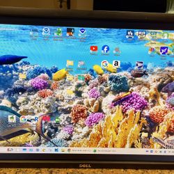 Dell UltraSharp 24 Inch 1920x1200 HD Screen LED-Lit Monitor, HDMI Plus Six More Ports. No Stand.