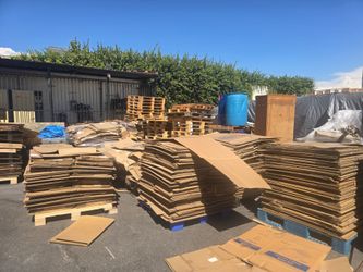 Large Lot of Flattened Cardboard Boxes free