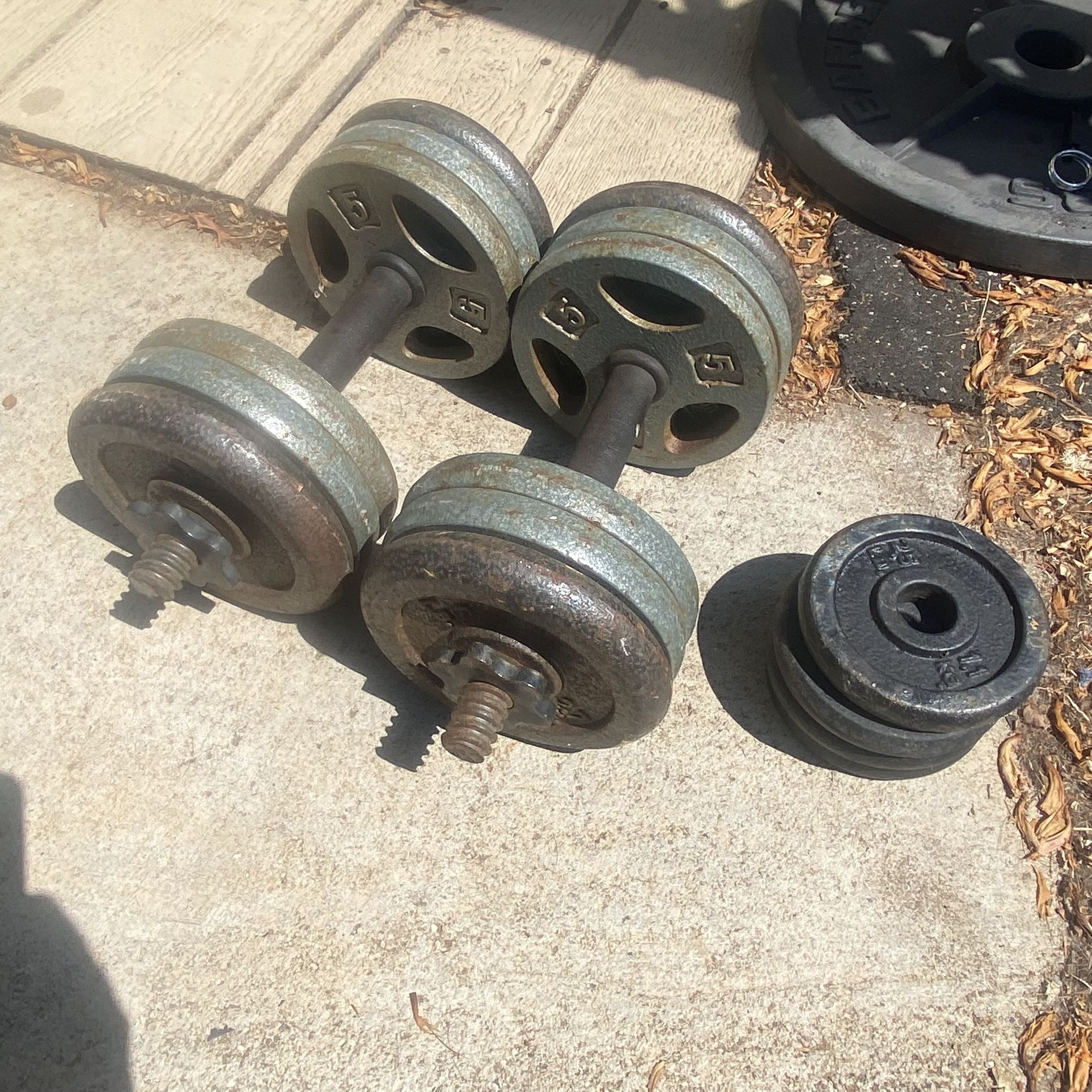Standard Dumbbells With Weights 