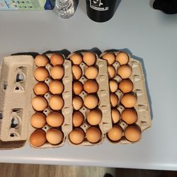 Free Range Brown Chicken Eggs 