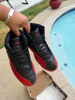 Jordan 12 Flu games