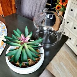 Beautiful Table Top Plant Decor