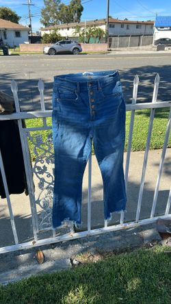 Loft Pants